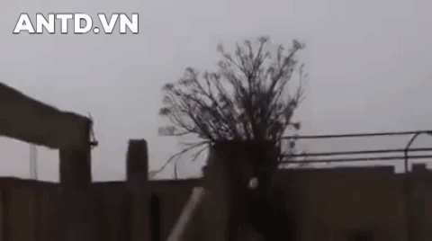 Nhờ tính năng vượt trội của mình mà vũ khí phá mìn UR-77 được các chuyên gia coi là một trong những phương tiện tốt nhất để vượt qua các bãi mìn.