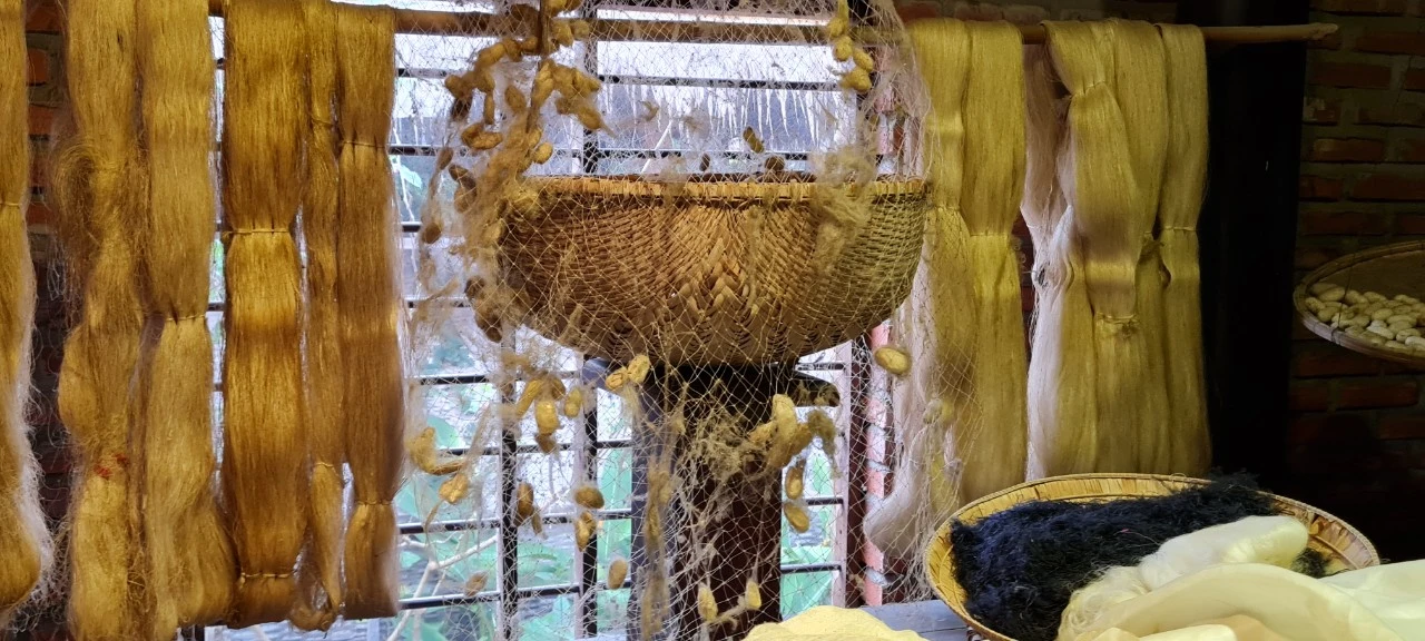 Thăm làng lụa Hội An, cùng khám phá nghề ươm tơ dệt lụa 