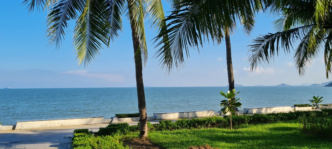 Quy Nhơn: Toàn cảnh cung đường ven biển đầy quyến rũ