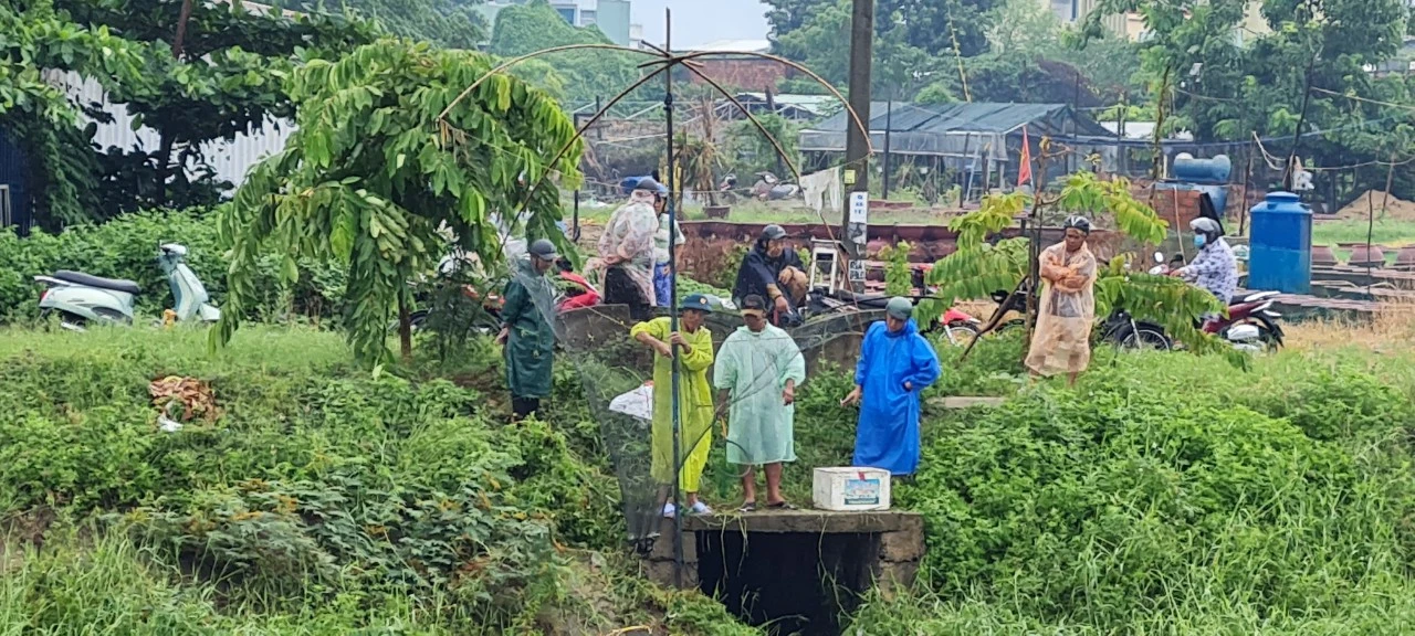 Đà Nẵng: Mưa lớn, nước tràn bờ, dân đổ xô đi bắt cá