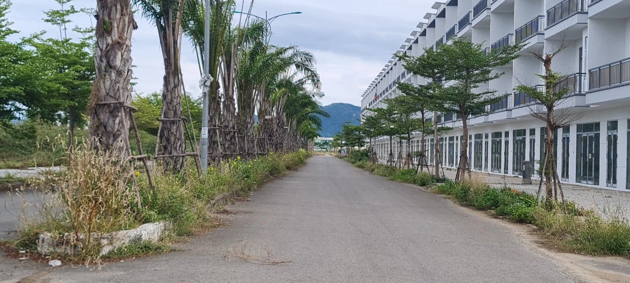 Đà Nẵng: Cỏ dại ngập lối dãy shophouse tiền tỷ ở “đảo ngọc“