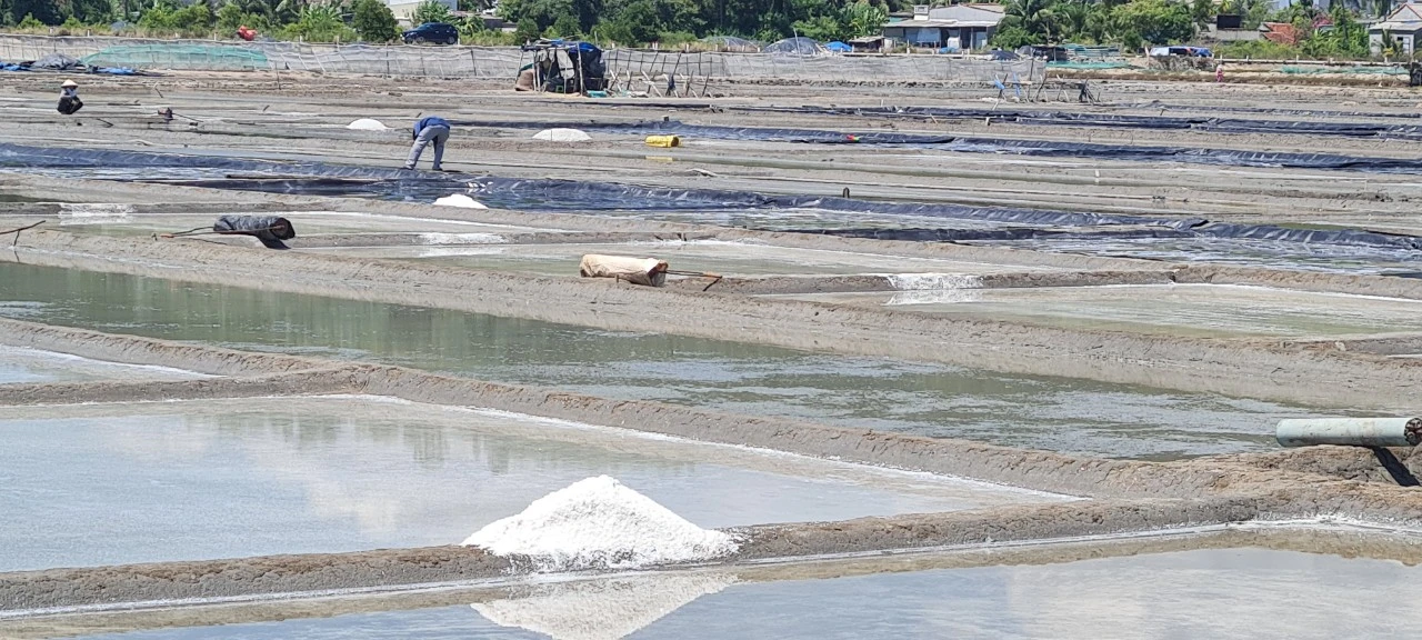 Thăm cánh đồng muối từng là điểm ngắm hoàng hôn đẹp nhất thế giới