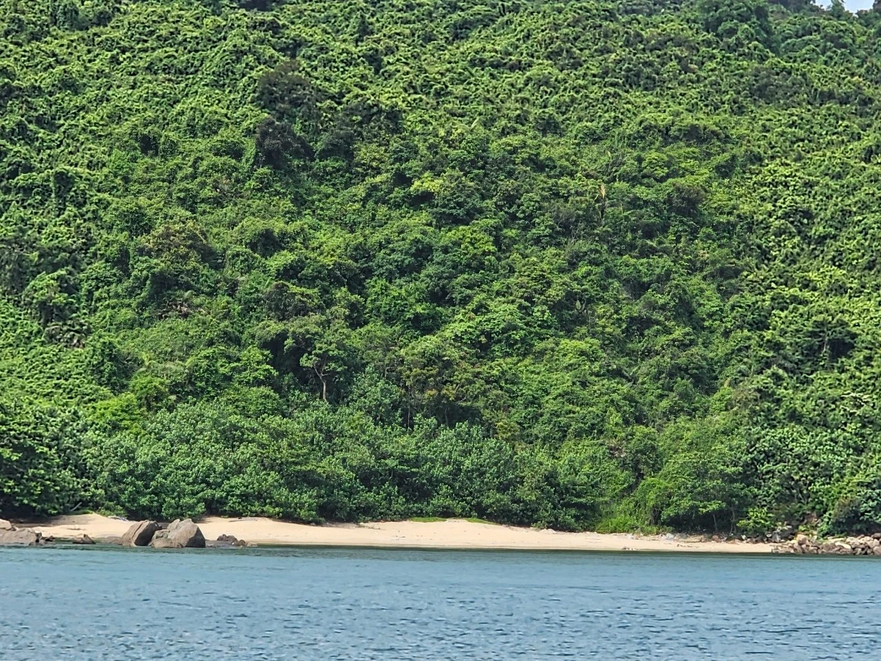 Bãi Cát Vàng - Thiên đường biển hoang sơ dưới chân núi Khỉ