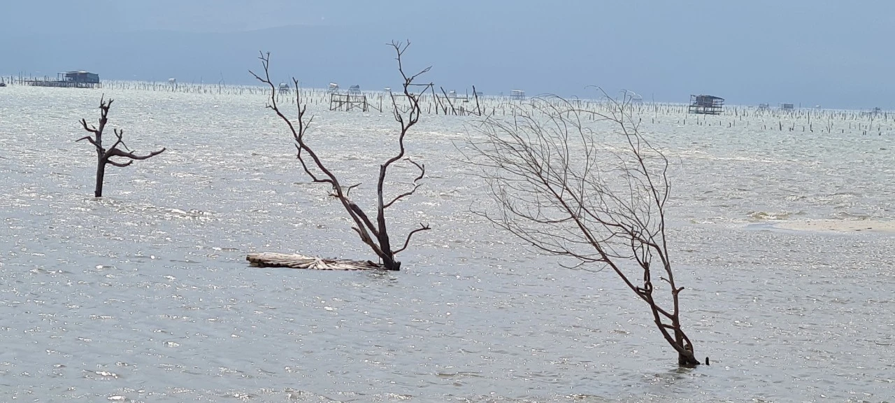 Khám phá “tuyệt tình cốc” đẹp nao lòng ở xứ Huế thơ mộng