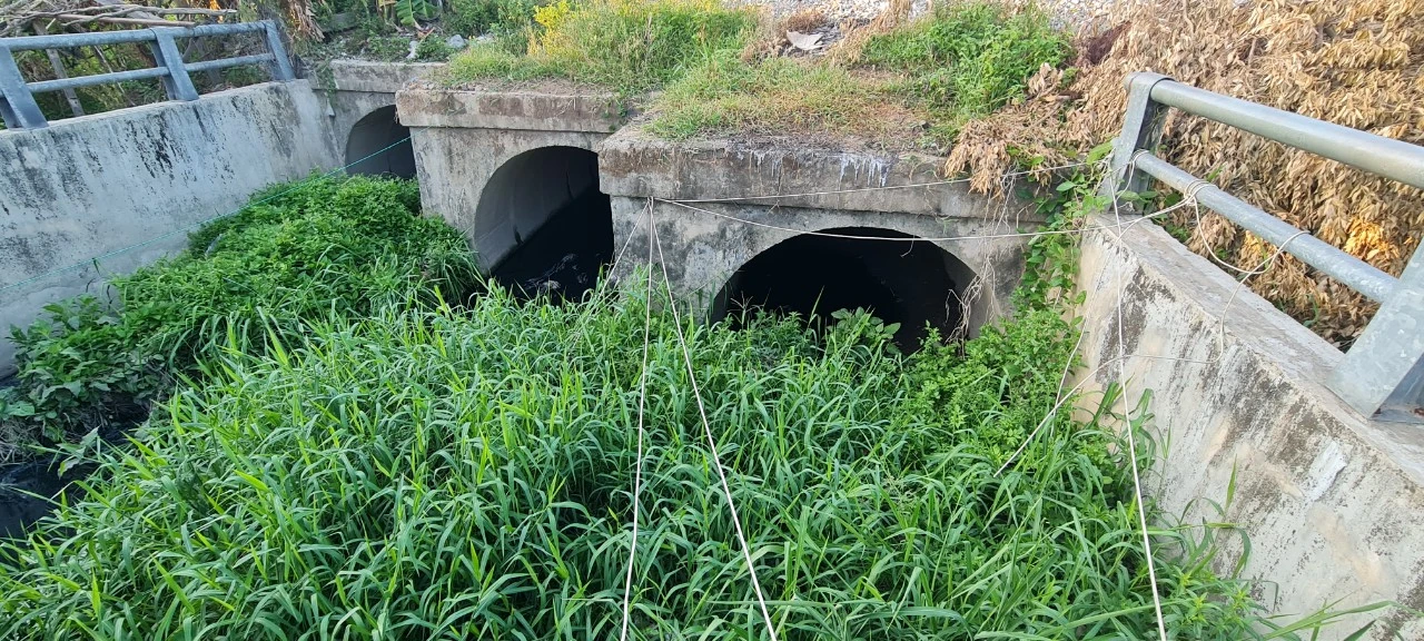 Đà Nẵng: Cống thoát nước đầy cỏ dại, dân lo nhà ngập tới nóc