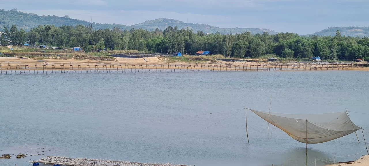 Đến xứ “hoa vàng cỏ xanh”, ngắm cây cầu gỗ dài nhất Việt Nam