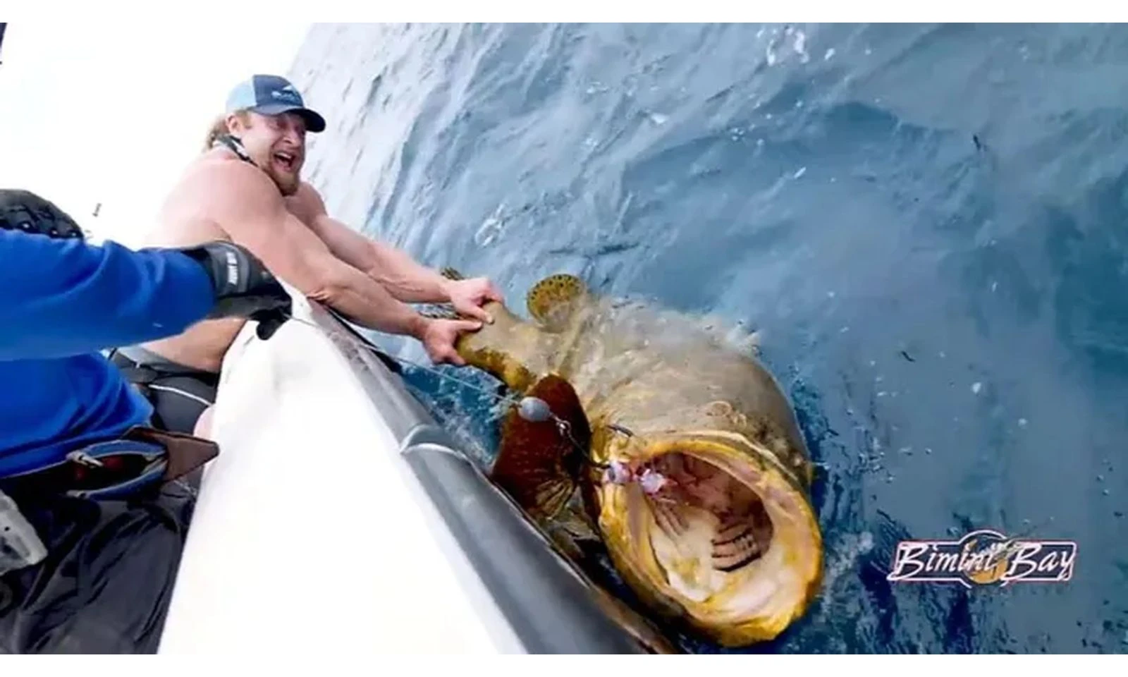 Hạ gục "quái ngư" 300kg sau màn giằng co đầy kịch tính