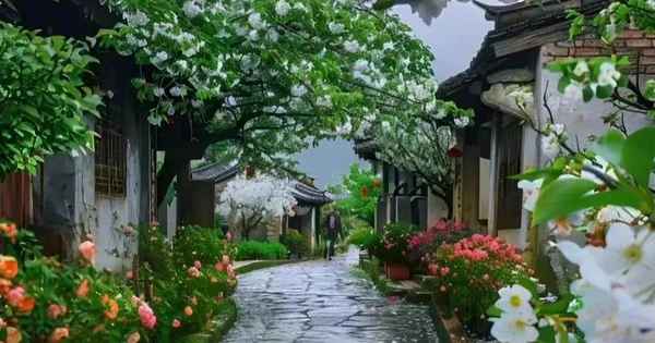 3 tuổi tháng 5 cơ hội đến tay, tháng 6 tiền tài vào túi