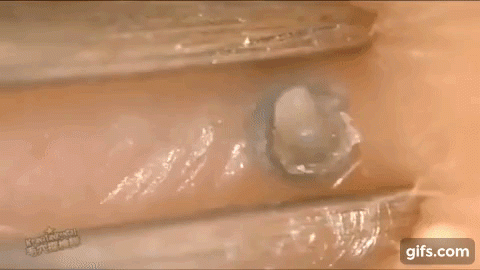 Man nan mun dau den kinh di hut hang trieu luot xem-Hinh-3