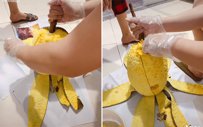 Theo đó, thay vì bổ quả mít theo cách thông thường là sử dụng dao bổ ngang thì cô gái này lại lột vỏ mít một cách dễ dàng, nhìn vào cứ ngỡ đang lột vỏ xoài.