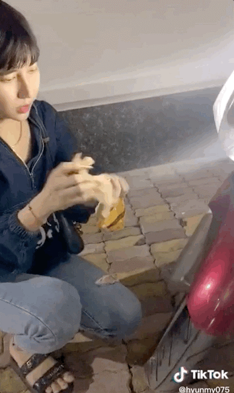Thậm chí, TikToker nổi tiếng này còn dùng khăn giấy lau chùi xe sau khi đã xịt đầy nước hoa. Ảnh: Chụp màn hình