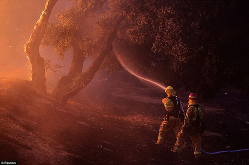 Nhân viên cứu hỏa phun vòi rồng vào gần một ngôi nhà đang cháy trong khu vực Twin Pines Road tại Banning, California ngày 7/8.