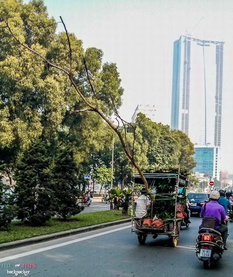 Cành cây này có thể mắc vào dây điện bất cứ lúc nào.