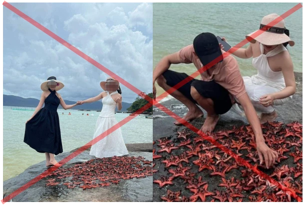 Bức xúc 2 cô gái bắt dàn sao biển phơi nắng chụp ảnh