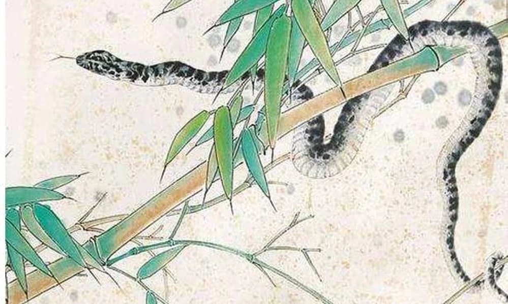 Cuối tháng 8/2022: 3 con giáp sự nghiệp phất lên, vận may ập đến