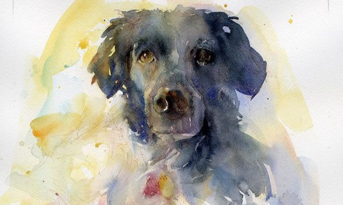 Tuần mới (5/6 - 11/6/2023): 3 con giáp phúc khí tràn về, giàu sang phú quý 