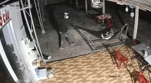 Tốn bao cơm gạo nuôi chó trông nhà, gia chủ bất lực khi xem lại camera - Hình 2 Ton bao com gao nuoi cho trong nha, gia chu bat luc khi xem lai camera-Hinh-2