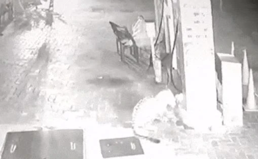 "Giả chết" lừa báo hoa mai, người đàn ông tim đập chân run 