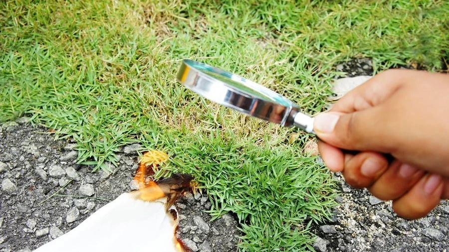 Video: Tại sao kính lúp có thể đốt cháy tờ giấy?