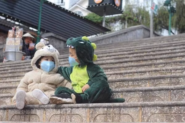 “Gấu trắng và khủng long” tí hon lang thang Đà Lạt gây sốt MXH