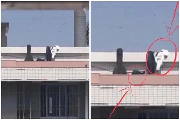 Đỏ mặt với màn diễn “cảnh nóng” của cặp đôi trên sân thượng