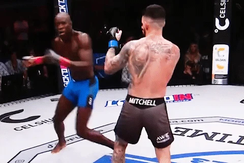 Cú đá xoay gây sốt ở giải MMA