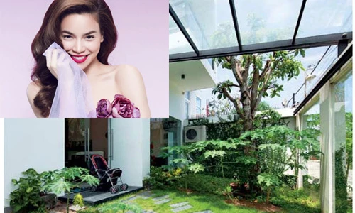 Vườn rau xanh mướt trong biệt thự triệu đô của Hà Hồ