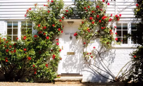 Muôn kiểu trang trí mặt tiền nhà với hoa cực hút mắt