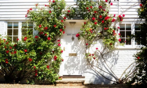 Muôn kiểu trang trí mặt tiền nhà với hoa cực hút mắt