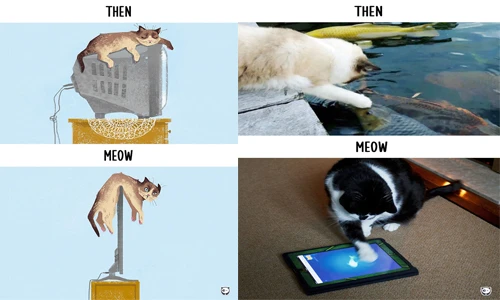 Ảnh hài hước công nghệ hiện đại thay đổi cuộc sống của... mèo