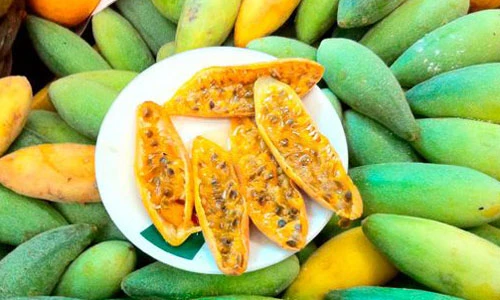 Tận mắt giống chanh leo hình quả chuối siêu lạ