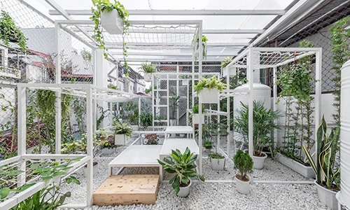 Sân thượng như công viên ở Hà Nội khiến báo ngoại "choáng"