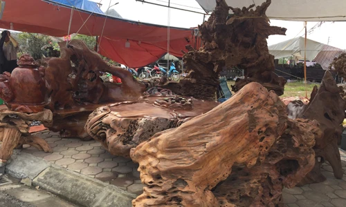 Ảnh: Bộ bàn ghế gỗ lũa hàng khủng giá tiền tỷ không bán