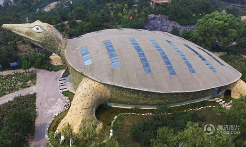 Tòa nhà hình con rùa độc đáo nhất từng thấy