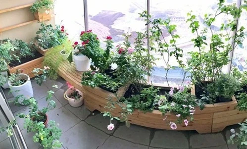 Trang trí ban công đẹp mê mẩn với những chậu hoa nhỏ xinh