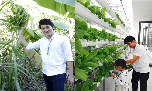 "Đột nhập" vào vườn rau xanh mướt mắt của sao nam Việt