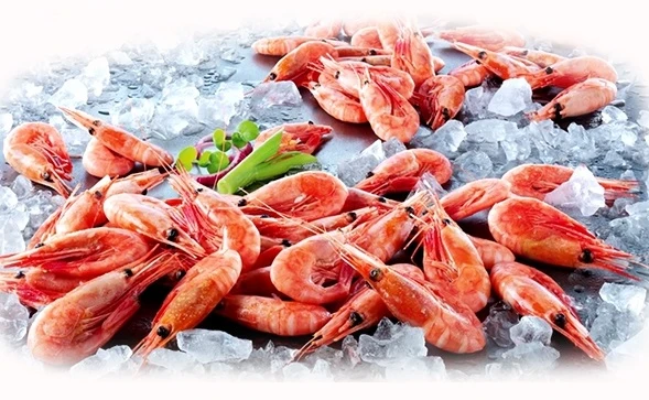 Tôm Bắc Cực hút bà nội trợ Hà Nội có gì đặc biệt?