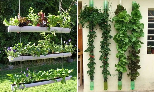 Những ý tưởng thiết kế vườn treo đẹp cho nhà chật chội