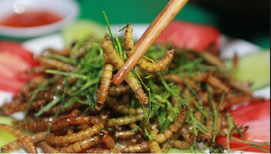Món ăn côn trùng giá chát siêu hút khách ở Hà Nội