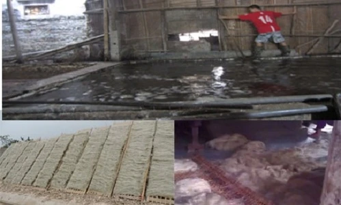 Tận mắt công nghệ chế biến miến rong siêu bẩn, ngậm đầy vi khuẩn