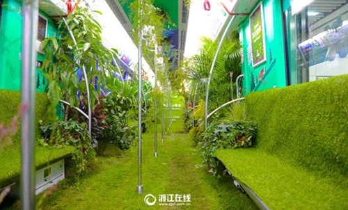 Ngắm tàu điện ngầm phủ cây xanh mát mắt ở Trung Quốc