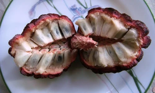 Độc lạ những loại quả màu tím gây sốt ở Việt Nam