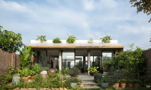 Ngắm nhà Việt 1 tầng xanh mướt mát trên báo Tây