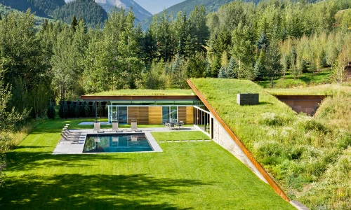 Vẻ đẹp của ngôi nhà mái cỏ cực độc nhất vô nhị