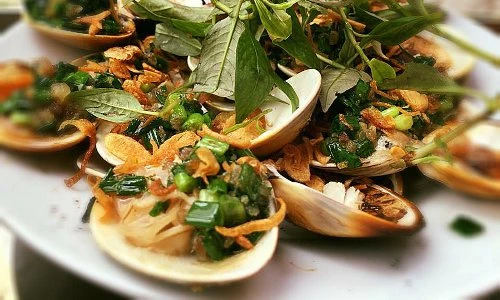 Khám phá loài ngao mật, phổ biến ở Việt Nam