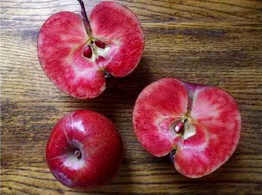 Những giống rau củ lai độc lạ nhất định phải thử một lần