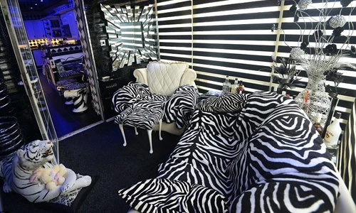Trang trí nhà nội thất da ngựa vằn độc chưa từng thấy