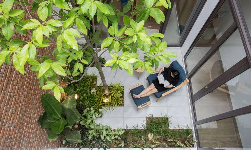 Ngắm nhà ống tràn ngập cây xanh ở Đà Nẵng khiến dân tình "phát thèm"