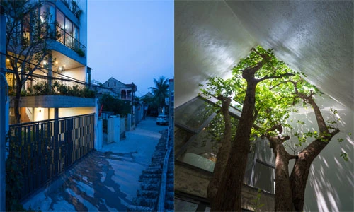 Báo Mỹ khen hết lời nhà tầng thiết kế cây xuyên ở Vinh