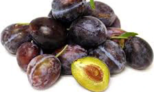 Đổ xô săn mua mận đường Úc đắt gấp chục lần mận Việt